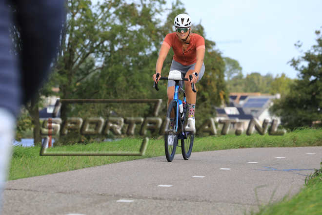 D2025.jpg